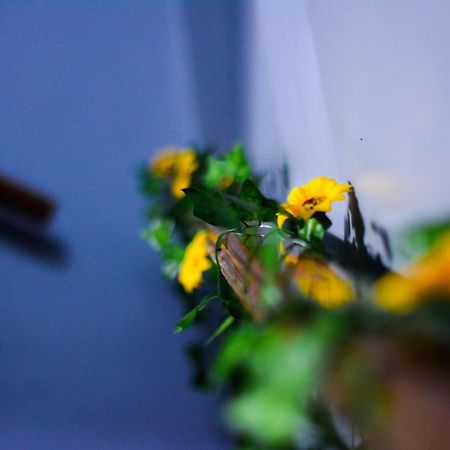 O Viajante Av Paulista Hostel São Paulo Kültér fotó